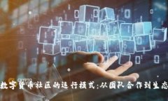 探索数字货币社区的运行
