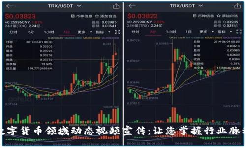 数字货币领域动态视频宣传：让您掌握行业脉动