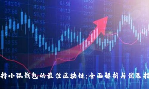 选择小狐钱包的最佳区块链：全面解析与优选指南