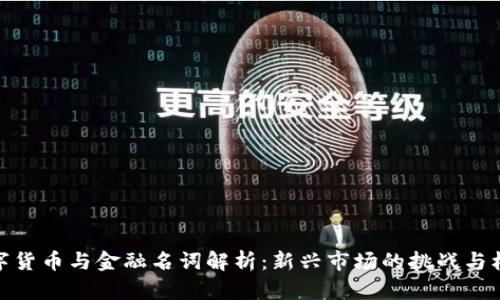 数字货币与金融名词解析：新兴市场的挑战与机遇