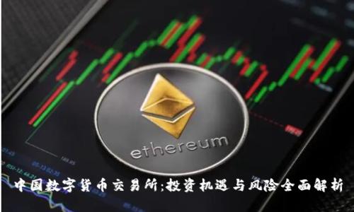 中国数字货币交易所：投资机遇与风险全面解析