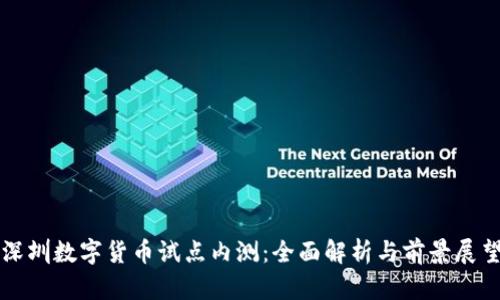 深圳数字货币试点内测：全面解析与前景展望