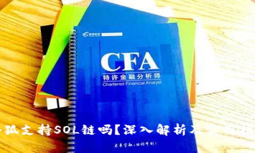 小狐支持SOL链吗？深入解析及实用指南